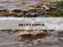 抽象三巨头 全靠网红带