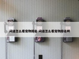 问道怎么看宠物排名 问道怎么看宠物排名啊