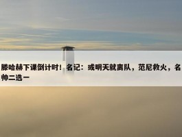 滕哈赫下课倒计时！名记：或明天就离队，范尼救火，名帅二选一