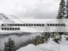 湖人下放刘易斯和席菲诺到发展联盟！布朗尼暂时留队 有意追求凯斯勒