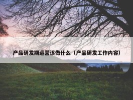 产品研发期运营该做什么（产品研发工作内容）