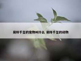 易烊千玺的宠物叫什么 易烊千玺的动物