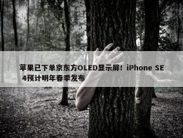 苹果已下单京东方OLED显示屏！iPhone SE 4预计明年春季发布