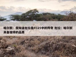 帕尔默：我知道佐拉是FC25中的传奇 佐拉：帕尔默具备独特的品质