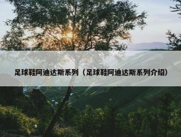 足球鞋阿迪达斯系列（足球鞋阿迪达斯系列介绍）