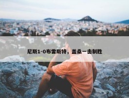 尼斯1-0布雷斯特，盖桑一击制胜