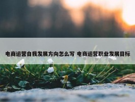 电商运营自我发展方向怎么写 电商运营职业发展目标