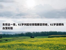 东京这一夜，62岁何超琼穿露腰装惊艳，62岁梁朝伟白发松弛