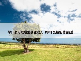 学什么可以增加副业收入（学什么技能做副业）