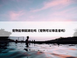 宠物能带回湖北吗（宠物可以带出省吗）