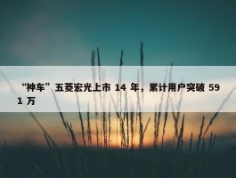 “神车”五菱宏光上市 14 年，累计用户突破 591 万