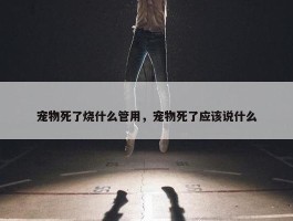 宠物死了烧什么管用，宠物死了应该说什么