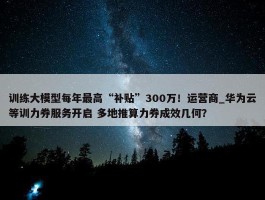 训练大模型每年最高“补贴”300万！运营商_华为云等训力券服务开启 多地推算力券成效几何？