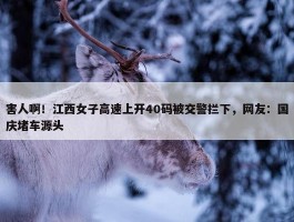 害人啊！江西女子高速上开40码被交警拦下，网友：国庆堵车源头