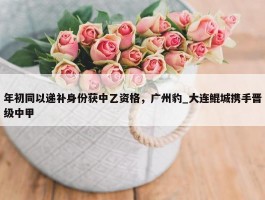 年初同以递补身份获中乙资格，广州豹_大连鲲城携手晋级中甲