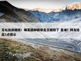 足坛反腐继续！曝某国脚被带走又被放了 是谁？网友给出3点提示