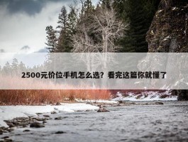 2500元价位手机怎么选？看完这篇你就懂了