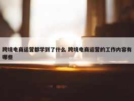 跨境电商运营都学到了什么 跨境电商运营的工作内容有哪些