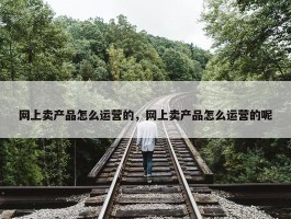 网上卖产品怎么运营的，网上卖产品怎么运营的呢