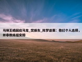 马琳王皓回应马龙_樊振东_陈梦退赛：他们个人选择，并非教练组安排