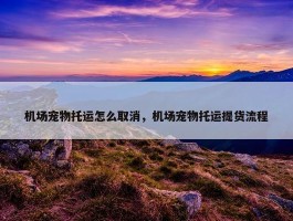 机场宠物托运怎么取消，机场宠物托运提货流程