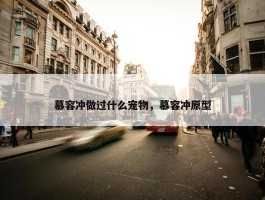 慕容冲做过什么宠物，慕容冲原型