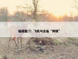 福建厦门：飞机与古庙“同框”