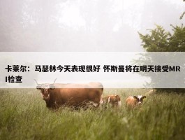 卡莱尔：马瑟林今天表现很好 怀斯曼将在明天接受MRI检查