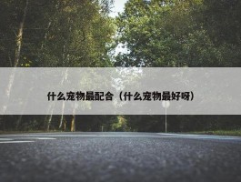 什么宠物最配合（什么宠物最好呀）