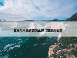 莫塞尔电商运营怎么样（莫塞尔公司）