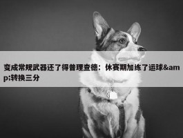 变成常规武器还了得普理查德：休赛期加练了运球&转换三分