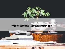 什么宠物听话好（什么动物听话好养）