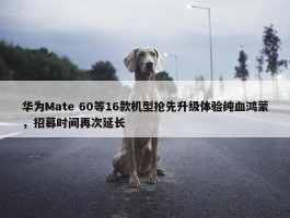 华为Mate 60等16款机型抢先升级体验纯血鸿蒙，招募时间再次延长