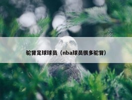 驼背足球球员（nba球员很多驼背）