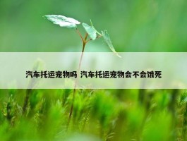 汽车托运宠物吗 汽车托运宠物会不会饿死