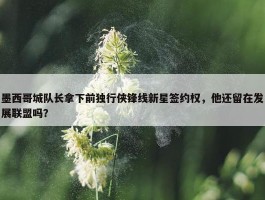 墨西哥城队长拿下前独行侠锋线新星签约权，他还留在发展联盟吗？