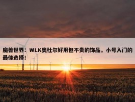 魔兽世界：WLK奥杜尔好用但不贵的饰品，小号入门的最佳选择！