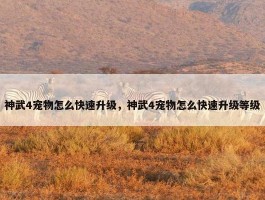 神武4宠物怎么快速升级，神武4宠物怎么快速升级等级