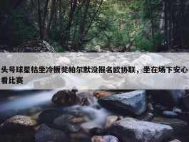 头号球星枯坐冷板凳帕尔默没报名欧协联，坐在场下安心看比赛