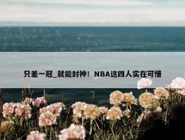 只差一冠_就能封神！NBA这四人实在可惜