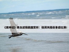 《黑神话》黑白滤镜截图赏析：极简风格故事感拉满！