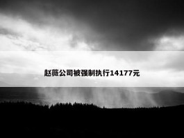 赵薇公司被强制执行14177元