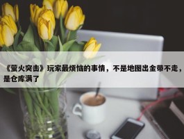 《萤火突击》玩家最烦恼的事情，不是地图出金带不走，是仓库满了