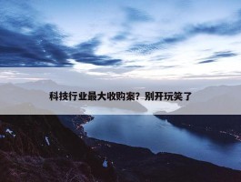 科技行业最大收购案？别开玩笑了