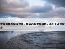 罗峰选择九宇混沌碑，加莱西暗中搞破坏，真衍王正式现身