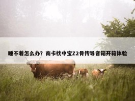 睡不着怎么办？南卡枕中宝Z2骨传导音箱开箱体验