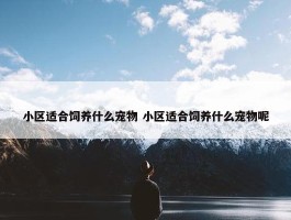 小区适合饲养什么宠物 小区适合饲养什么宠物呢