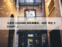 七彩虹 CUDIMM 内存条曝光，XMP 可达 9600MT_s