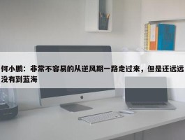 何小鹏：非常不容易的从逆风期一路走过来，但是还远远没有到蓝海