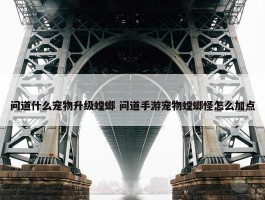 问道什么宠物升级螳螂 问道手游宠物螳螂怪怎么加点